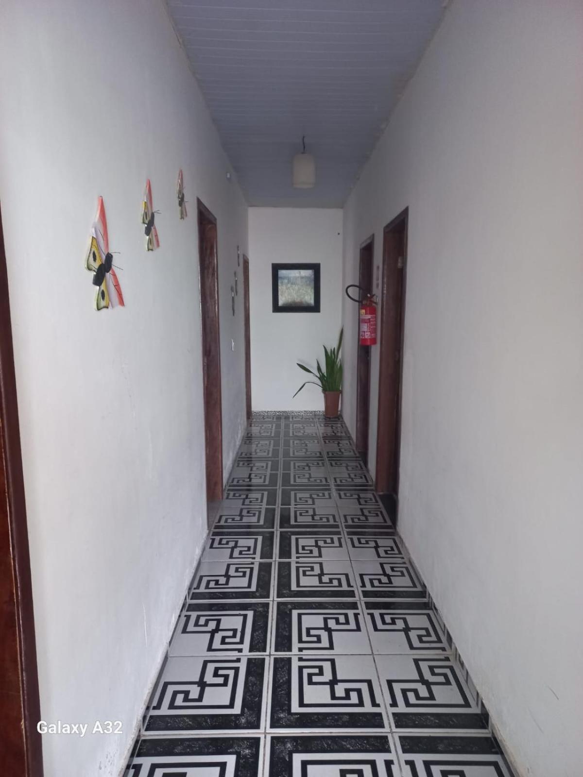 Apolonia Homestay *